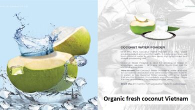 Organic fresh coconut Vietnam
