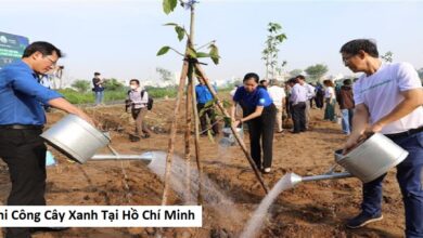 Thi Công Cây Xanh Tại Hồ Chí Minh