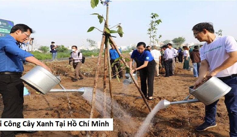 Thi Công Cây Xanh Tại Hồ Chí Minh