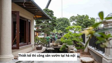 Thiết kế thi công sân vườn tại hà nội
