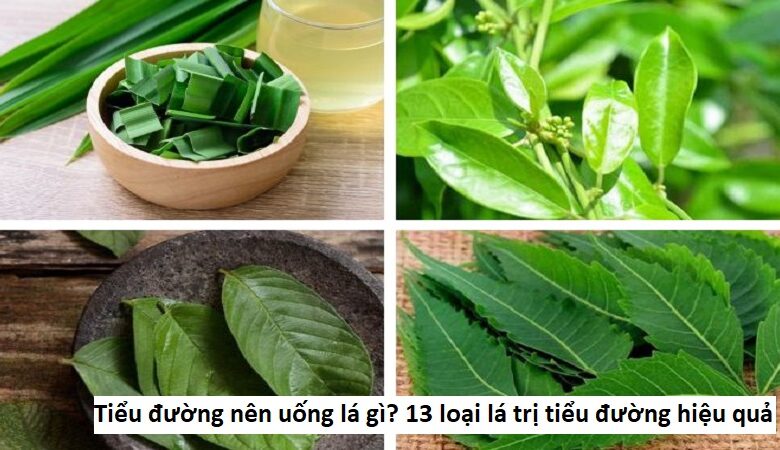 Tiểu đường nên uống lá gì? 13 loại lá trị tiểu đường hiệu quả