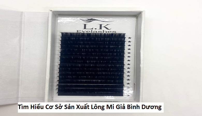 Tìm Hiểu Cơ Sở Sản Xuất Lông Mi Giả Bình Dương