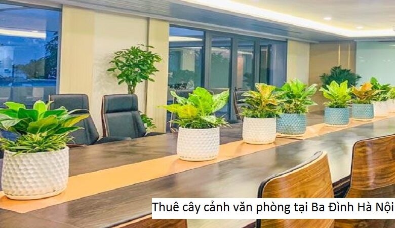 Thuê cây cảnh văn phòng tại Ba Đình Hà Nội
